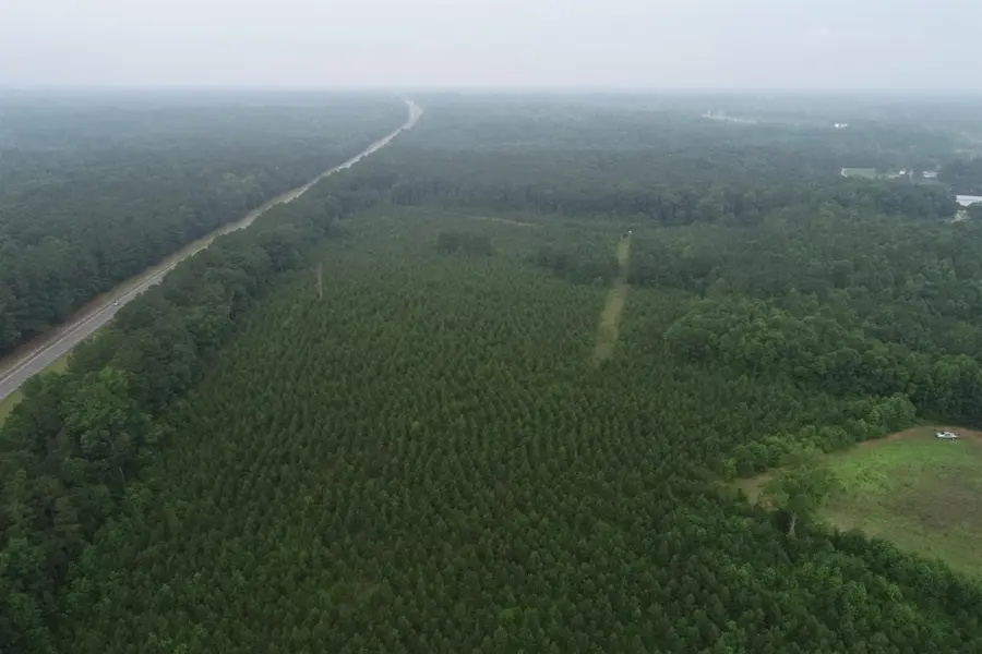 0 Wiley Road, Spring Hope, NC 27882 - Image #3