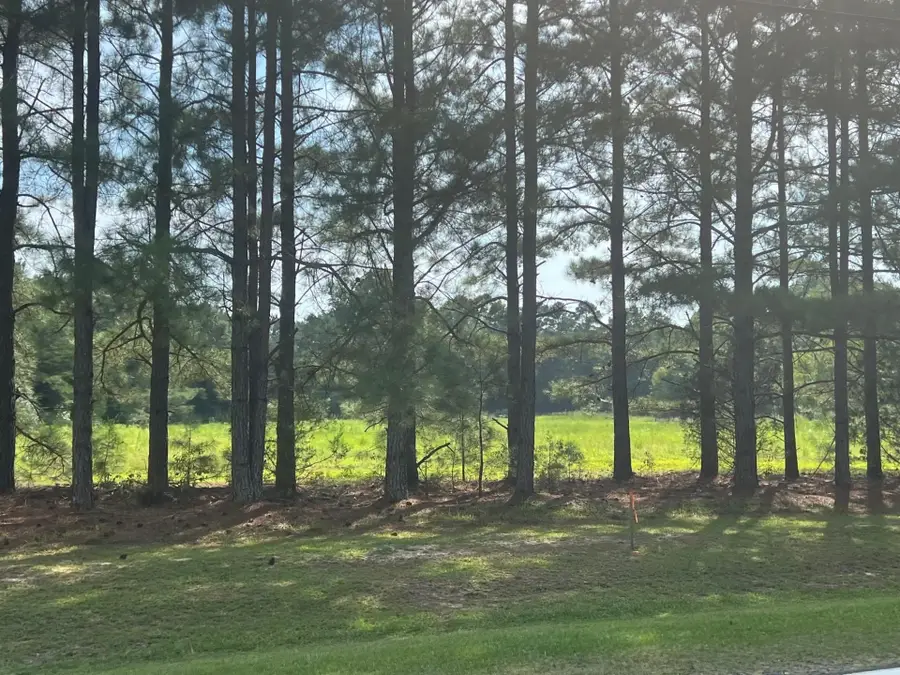 3466 Matthews Mill Pond Road, Angier, NC 27501 - Image #2