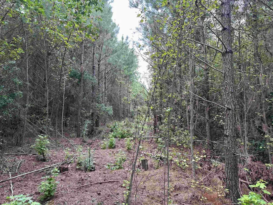 7221 Sunset Lake Road, Fuquay Varina, NC 27526 - #3