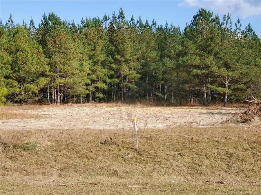 949 Pendergrass Road Road W, Raeford, NC 28376 - Image #2