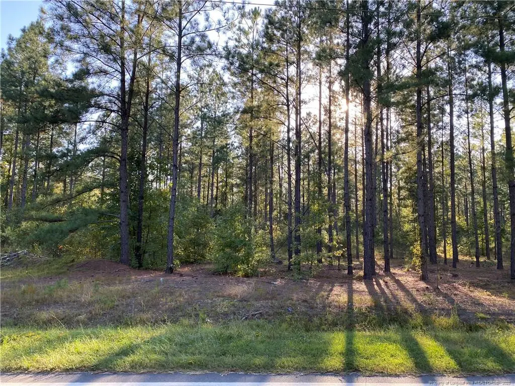 1170 Old Vander Road, Fayetteville, NC 28312 - #1