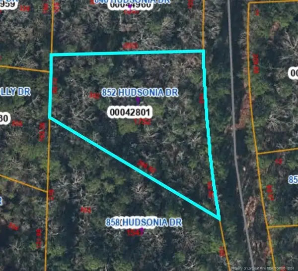 852 Hudsonia Drive, Vass, NC 28394