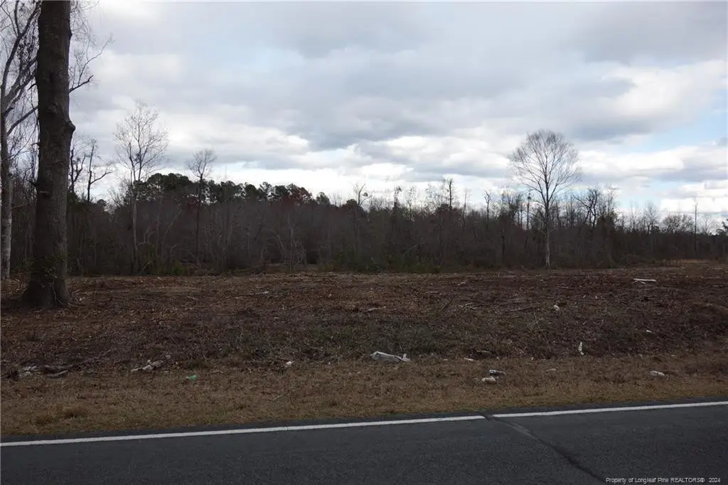 Lot 11 Odum Road, Lumberton, NC 28358 - #1