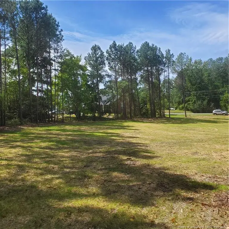 TBD Lot 2 Rockfish Road, Raeford, NC 28376 - #2