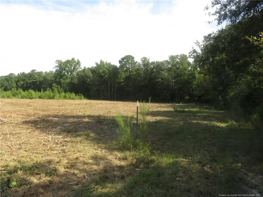 Lot E Survey Drive, Fairmont, NC 28340 - #1