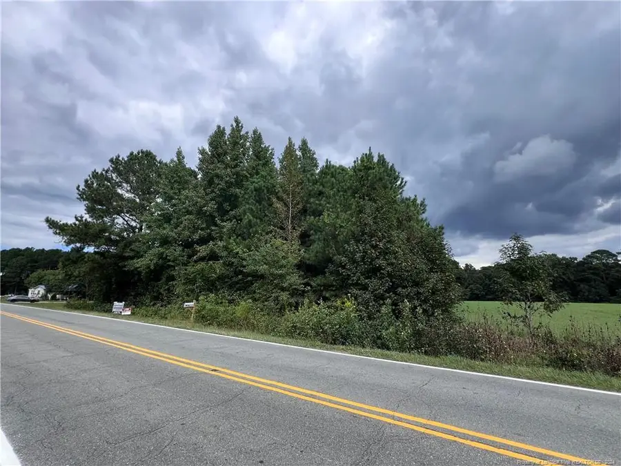 Five Bridge Road, Harrells, NC 28444 - Image #3