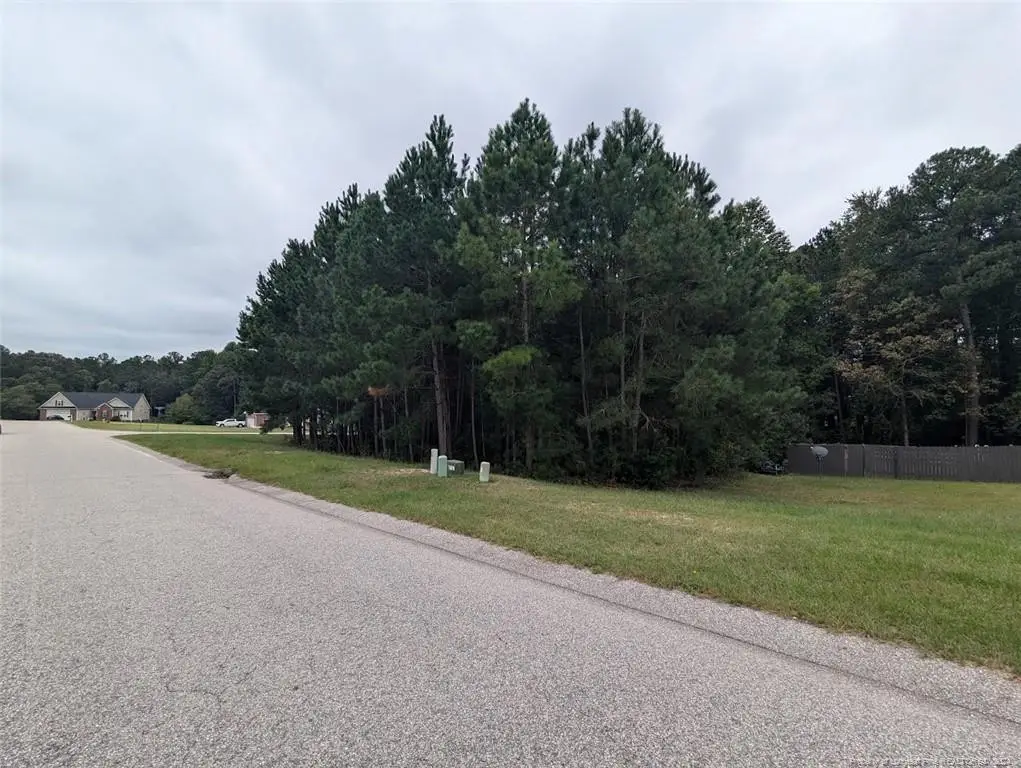 TBD 282 Falling Leaf Drive, Raeford, NC 28376 - #1