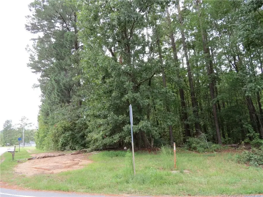 0 Lick Creek Road, Sanford, NC 27330 - #2