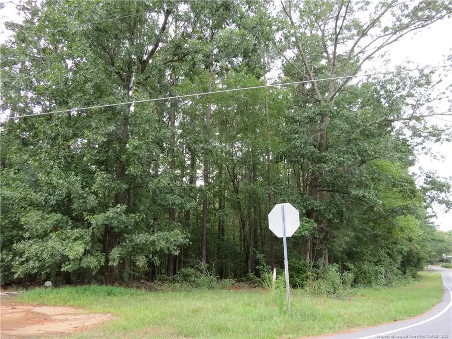 0 Lick Creek Road, Sanford, NC 27330 - #3