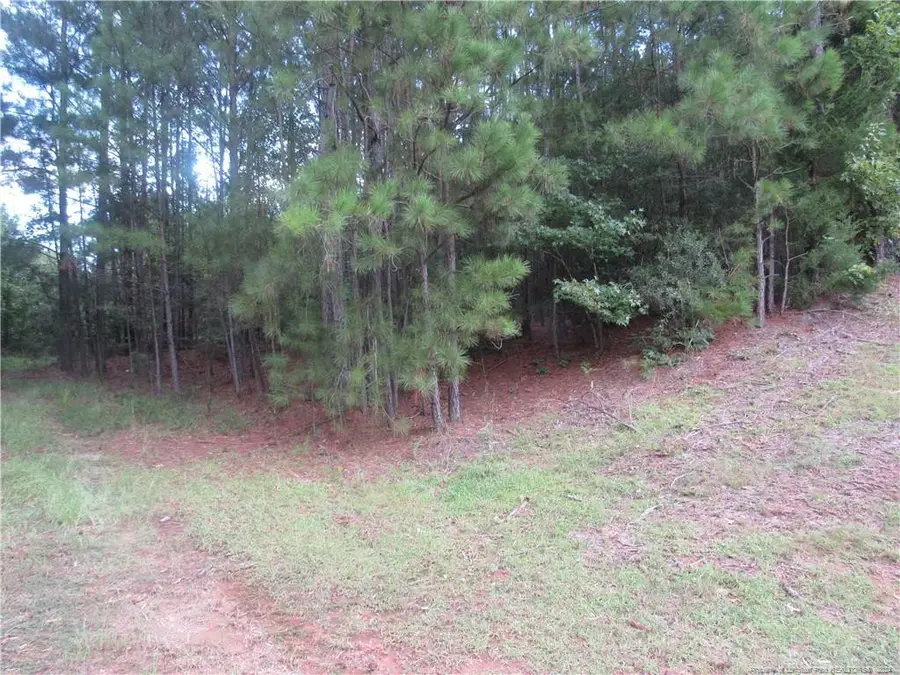 0 Boone Trail Road, Sanford, NC 27330 - Image #2