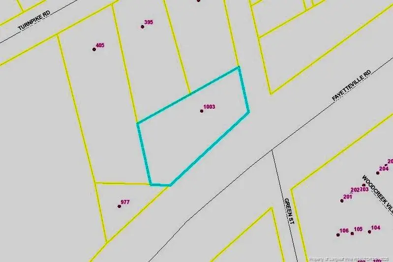 1003 Fayetteville Road, Raeford, NC 28376 - #1