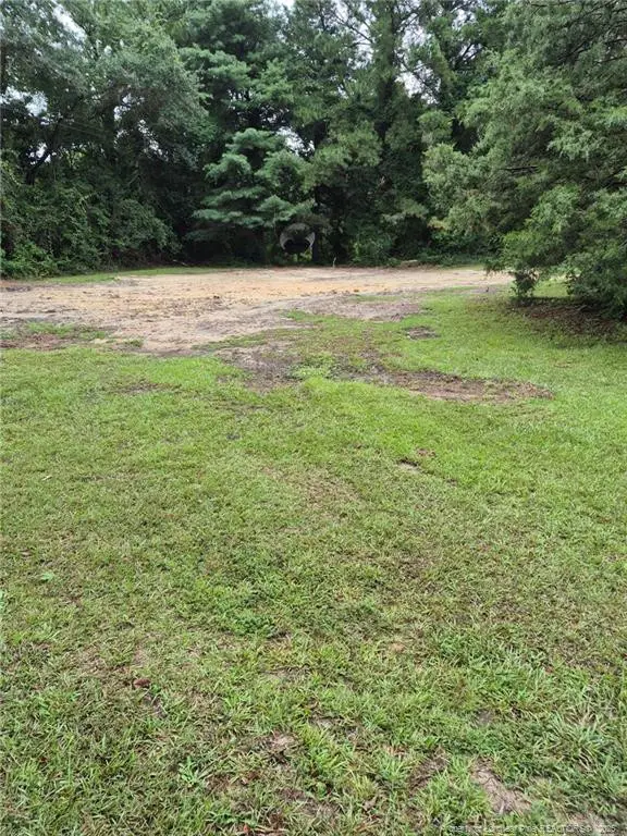 1003 Fayetteville Road, Raeford, NC 28376 - #2