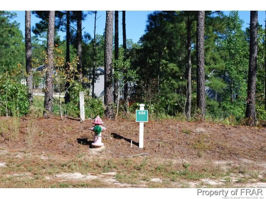 162 Broadlake (636) Lane, Spring Lake, NC 28390 - Image #2