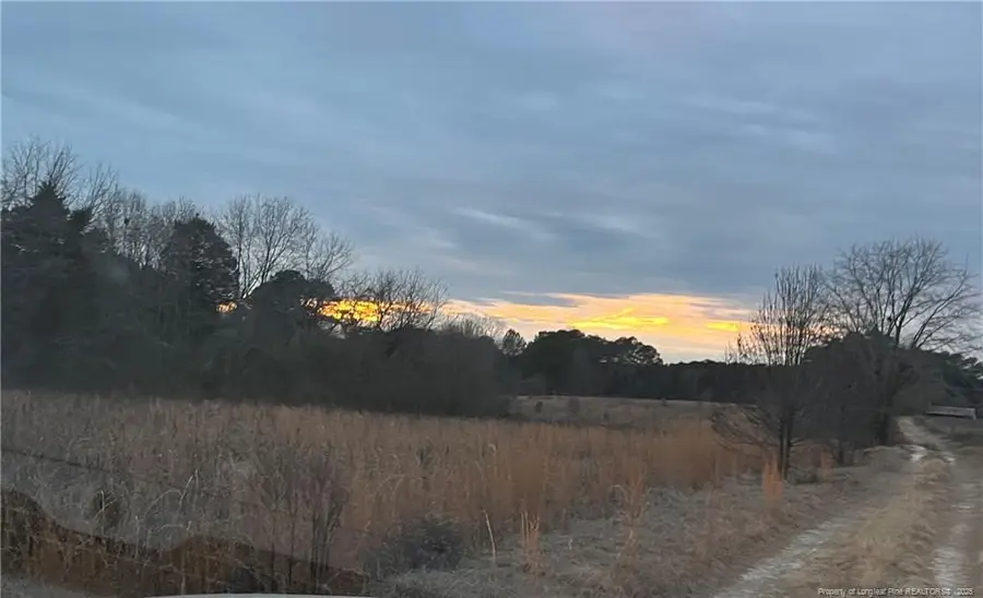 TBD Hwy 87/ Broadway Rd. Road, Sanford, NC 27330 - Image #3