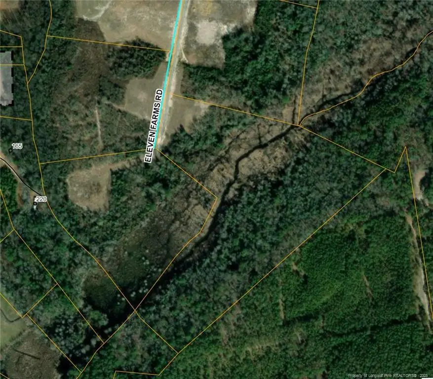 Lot 48 Eleven Farms Rd, Salemburg, NC 28385 - Image #1