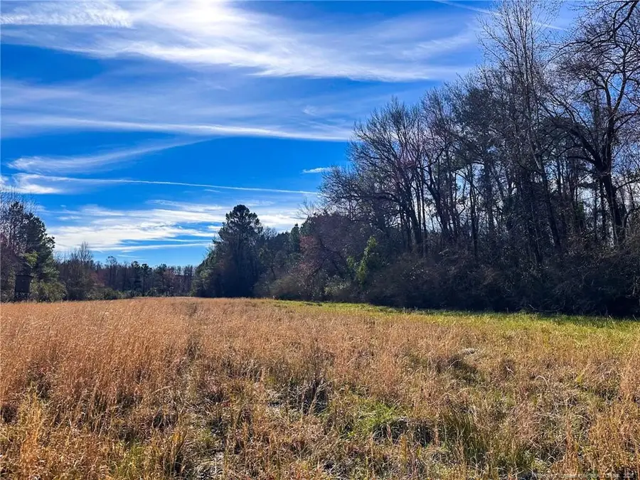 TBD Snake Road, Lumberton, NC 28358 - Image #2