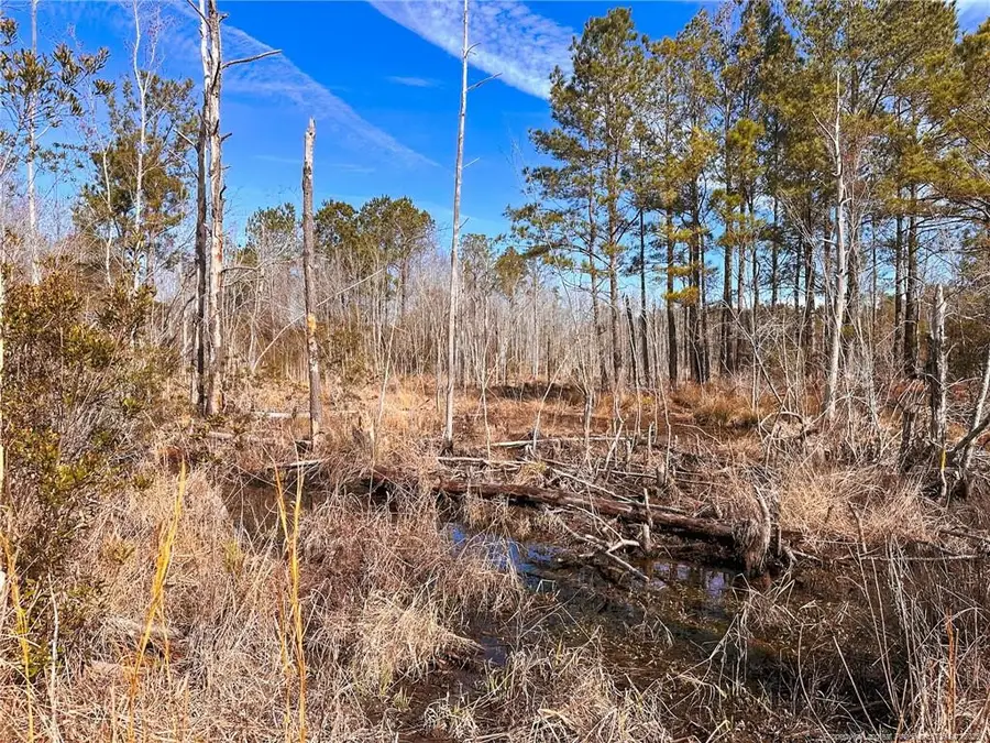 TBD Snake Road, Lumberton, NC 28358 - Image #3