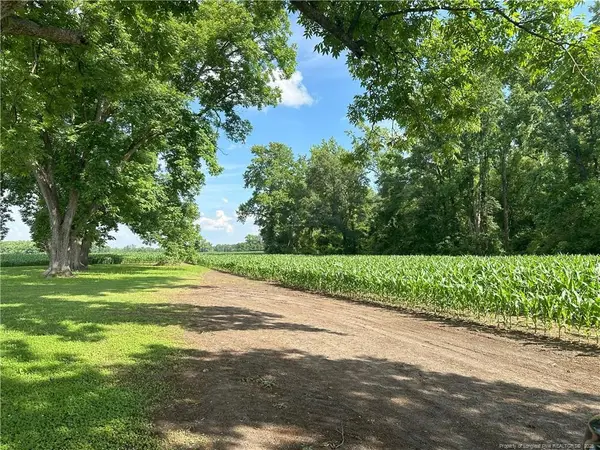 Lot A Pleasant Hope Road, Lumberton, NC 28340