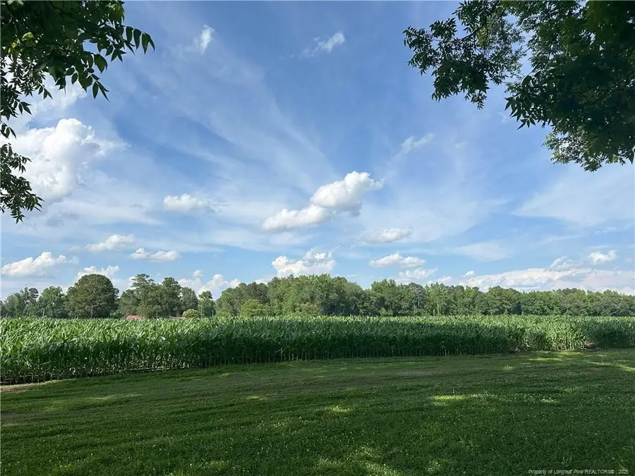 Lot A Pleasant Hope Road, Fairmont Township, NC 28340 - Image #3