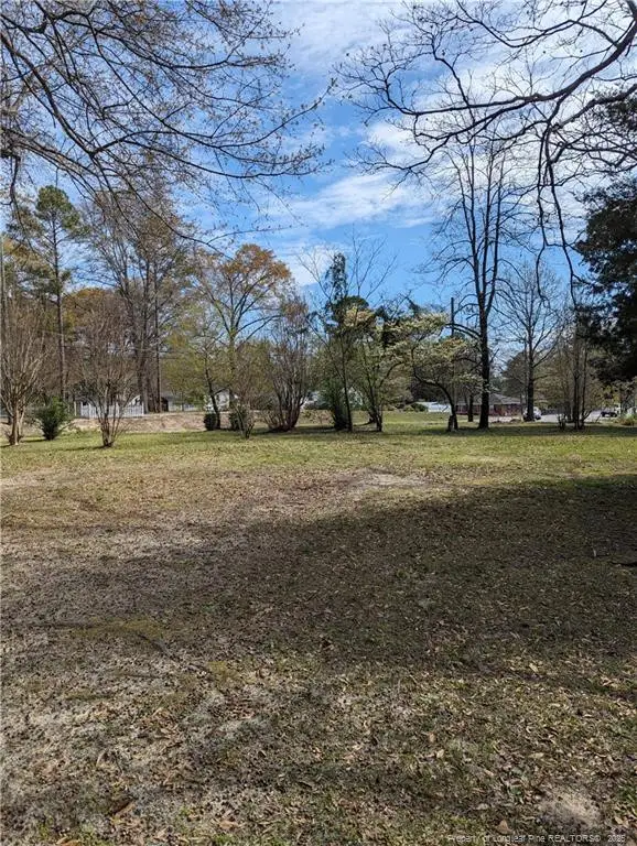 106 Wilkinson (proposed Parcel A) Drive S, Saint Pauls, NC 28384