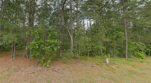 36 Peach Orchard Road, Wagram, NC 28396