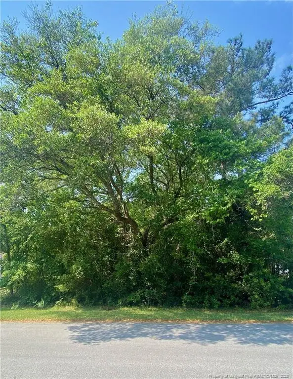 1365 Riverview Drive Sw, Shallotte, NC 28470 - #1