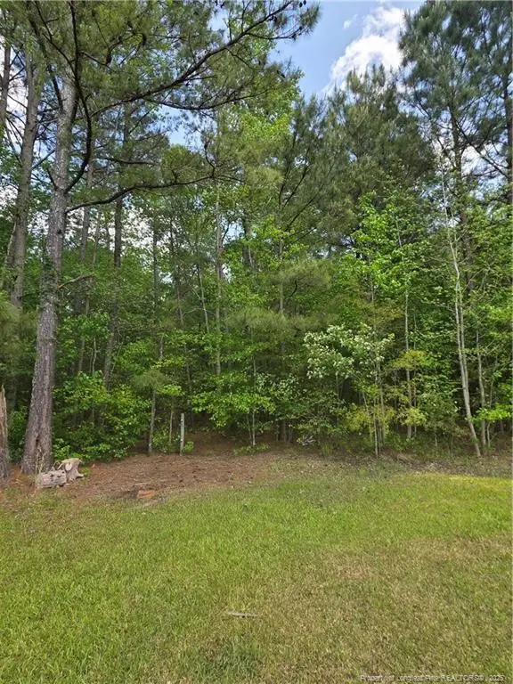 Fire Tower Lane, Raeford, NC 28376