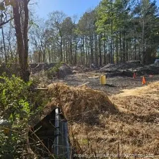 737 N Vass Road, Raeford, NC 28376 - #3