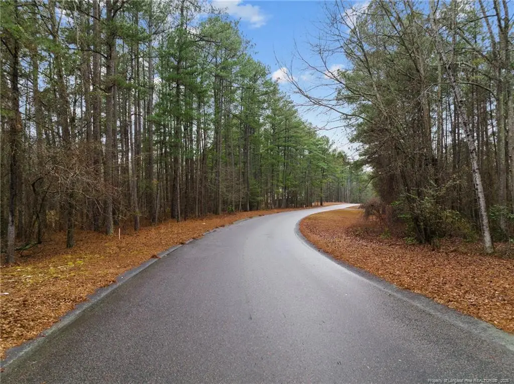 221 Pebble Drive, West End, NC 27376 - #1