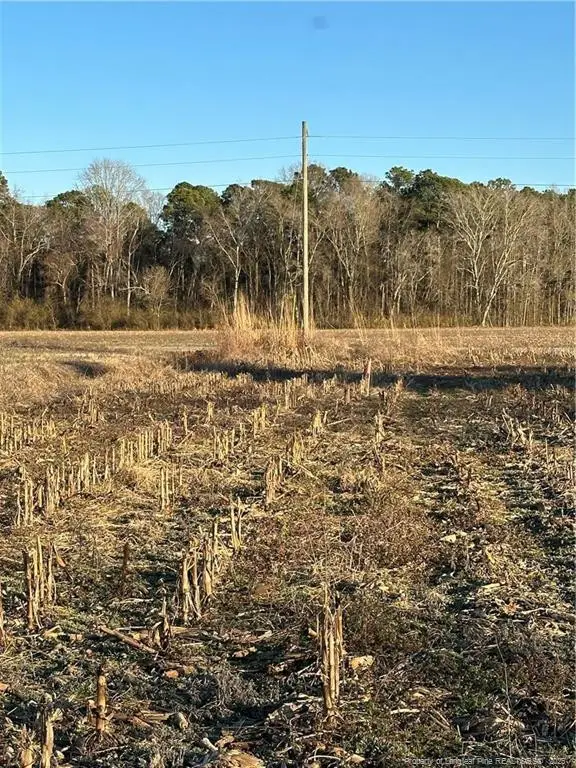 473 Costner Road, Lumber Bridge, NC 28357