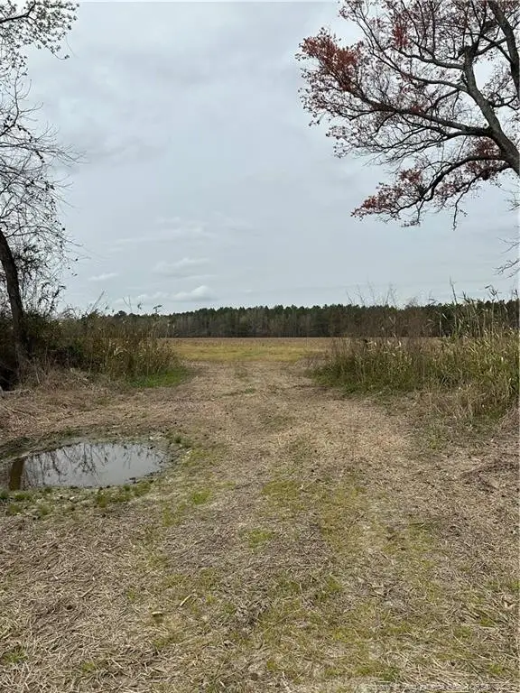 473 Costner Road, Lumber Bridge, NC 28357 - Image #2