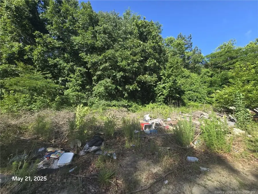 Lakebay Road, Vass, NC 28394 - Image #2