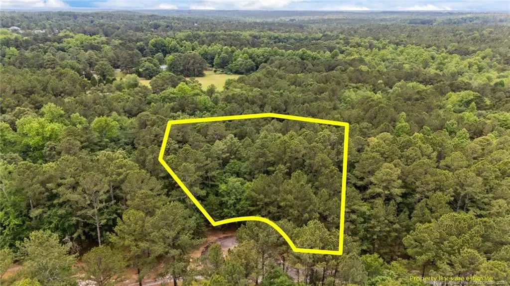 111 Millstone Court, West End, NC 27376 - #1