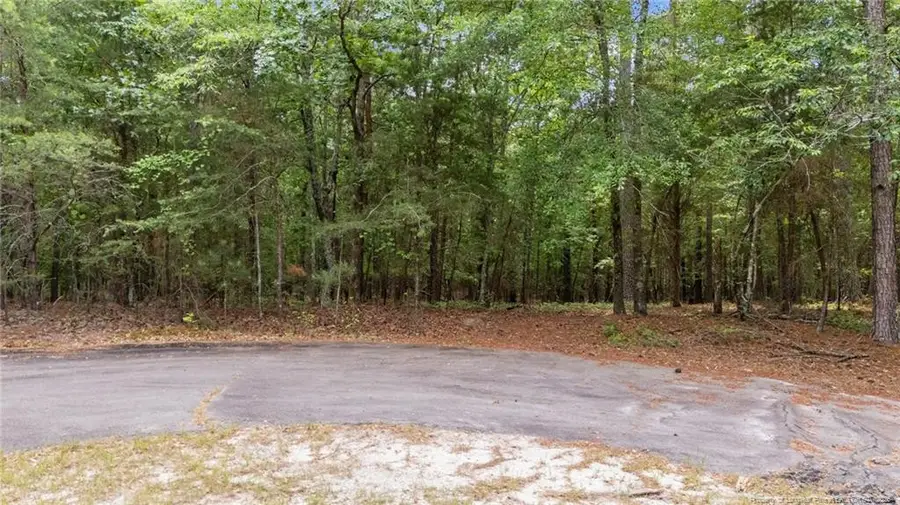 111 Millstone Court, West End, NC 27376 - #2