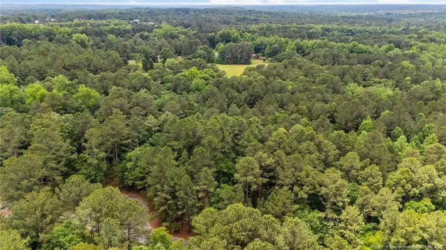 111 Millstone Court, West End, NC 27376 - #3