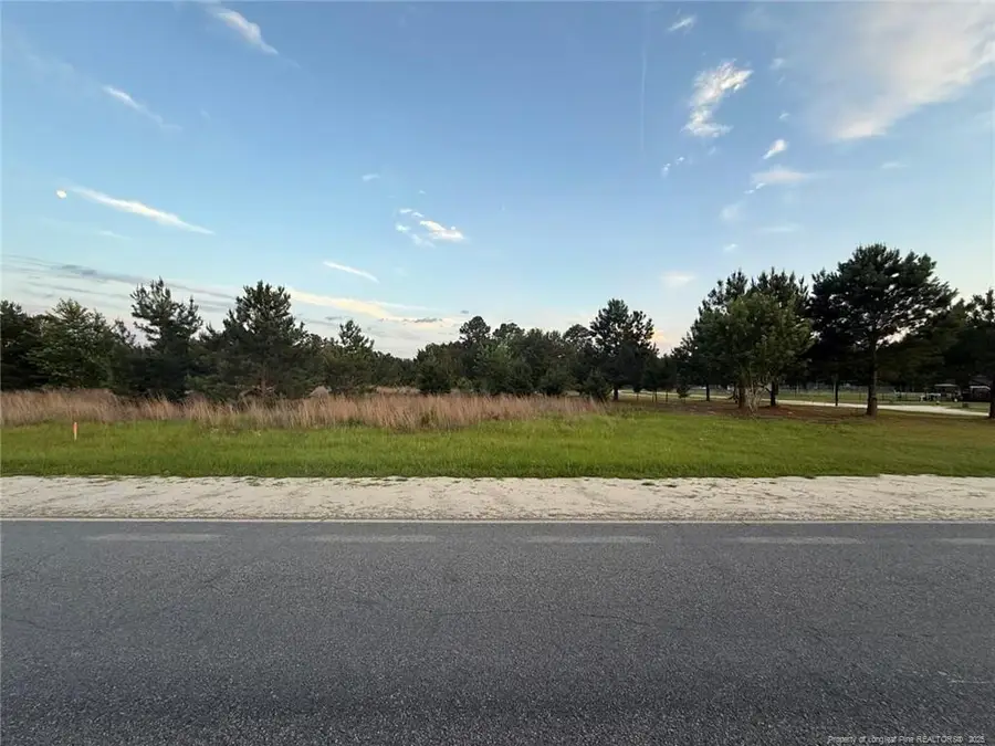Blue Springs Lot 1-2 Road, Raeford, NC 28377 - Image #3