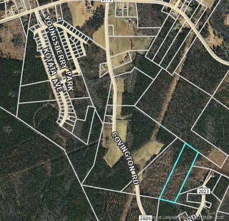 0000 Covington Road, Bunnlevel, NC 28323 - Image #3