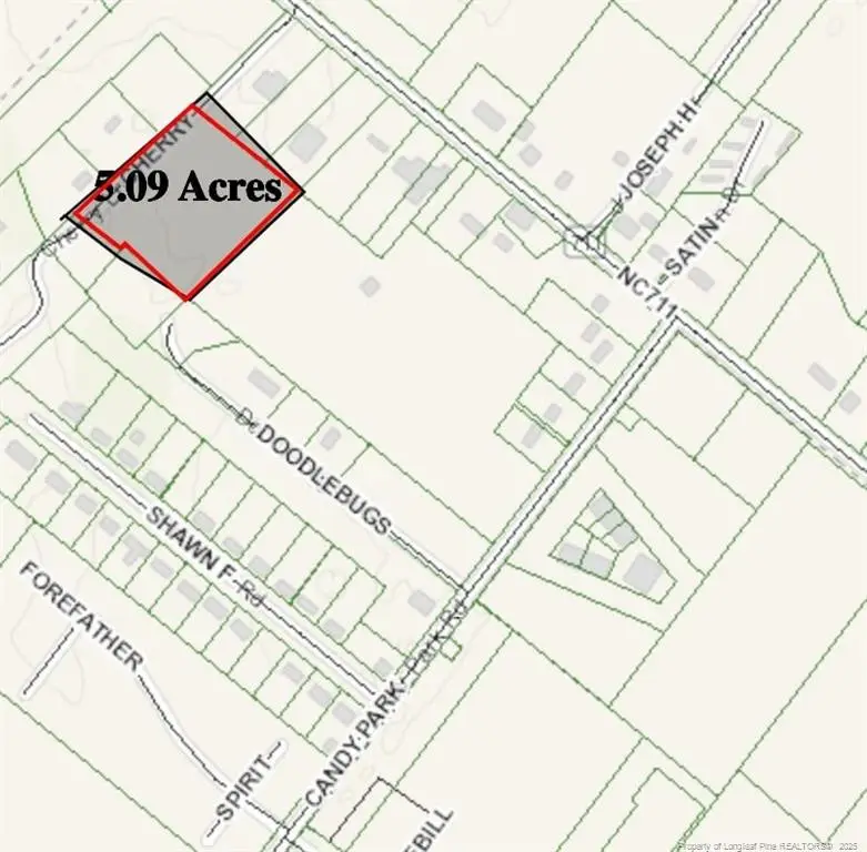 Cherry Lane, Pembroke, NC 28372 - #2