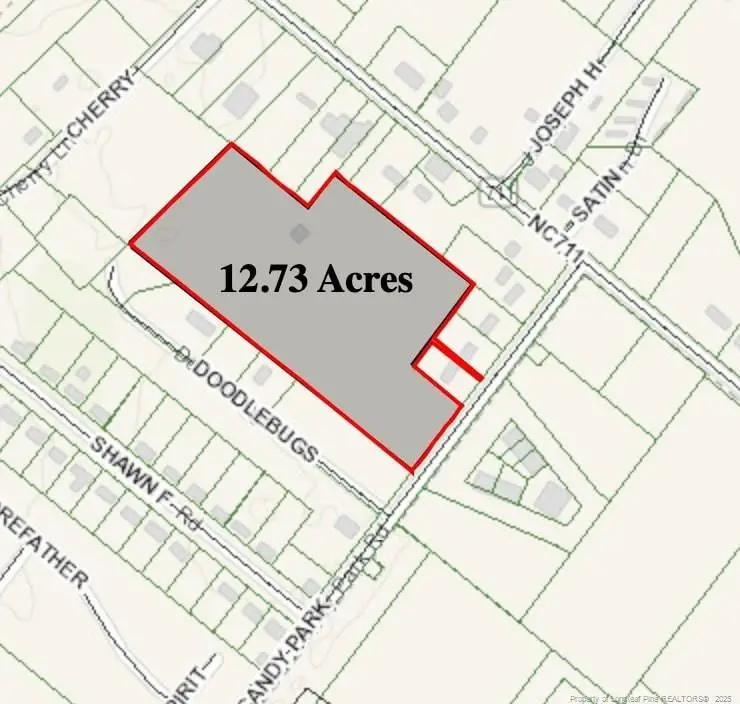 Candy Park Road, Pembroke, NC 28372 - Image #2