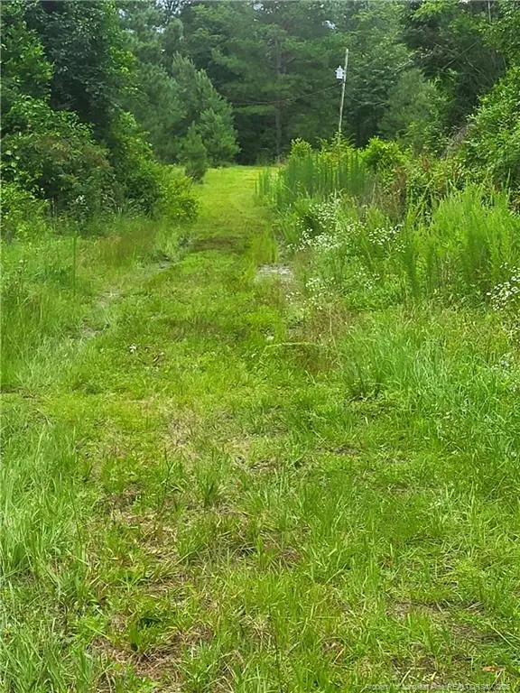 E Sarah Lane Lane E, Laurinburg, NC 28352 - Image #1