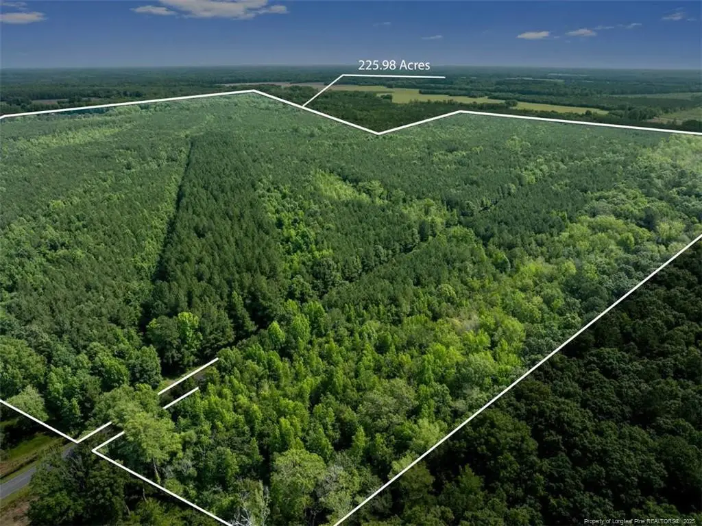 TBD Rich Walker Road, Wade, NC 28395 - Image #1