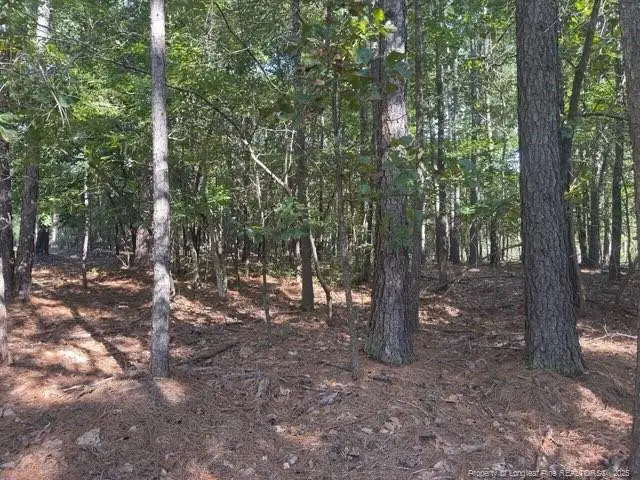 87 Canterbury Road, Sanford, NC 27332 - #1