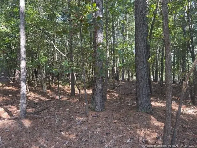 87 Canterbury Road, Sanford, NC 27332 - #2