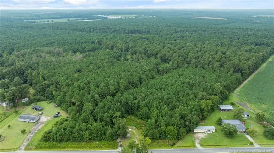 3045 Bridgers Road, Rowland, NC 28383 - #2