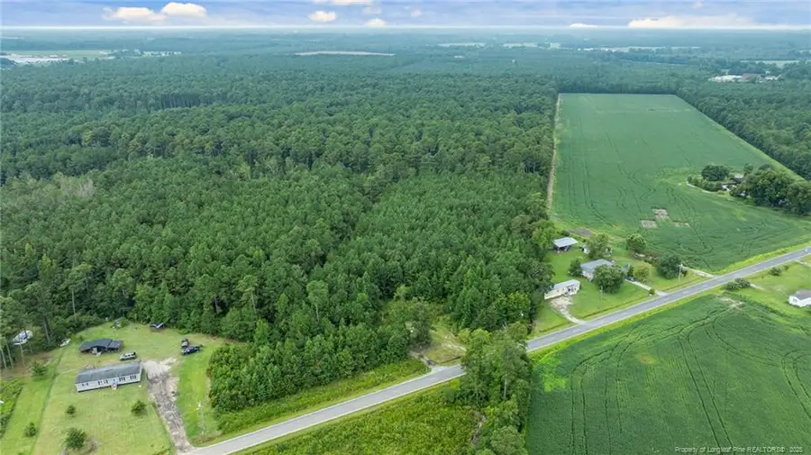 3045 Bridgers Road, Rowland, NC 28383 - #3