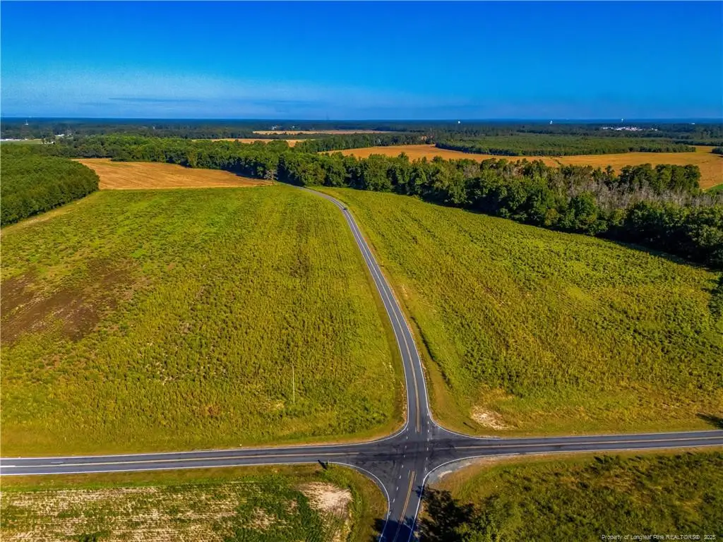 Lot 18 Daniel Mcleod Road, Red Springs, NC 28377 - #1