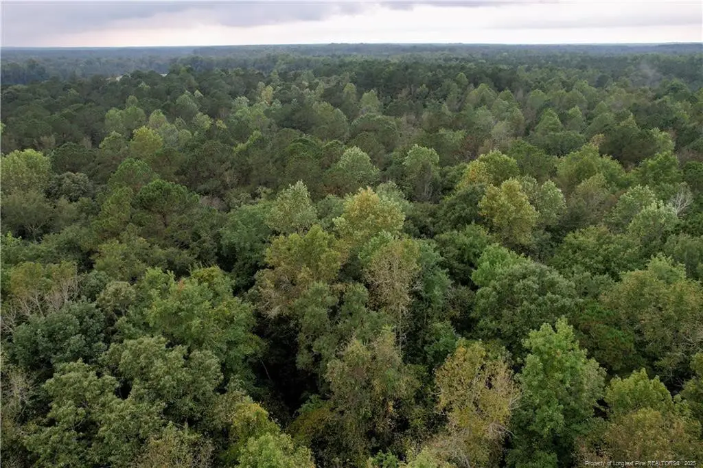 284 Irene Drive, Clarkton, NC 28433 - #1