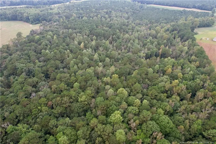 284 Irene Drive, Clarkton, NC 28433 - #2