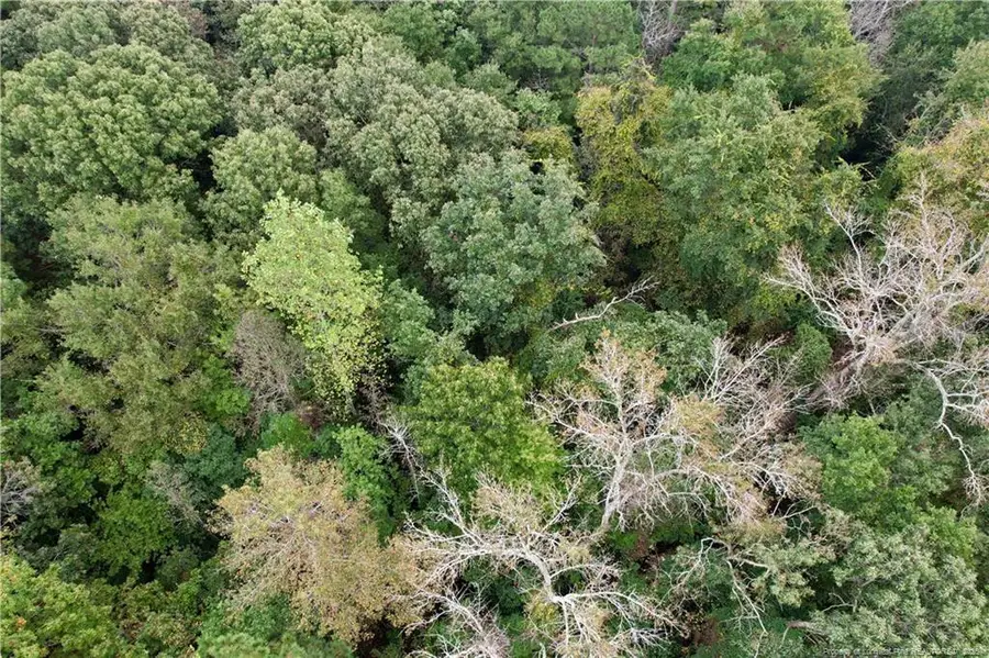 284 Irene Drive, Clarkton, NC 28433 - #3