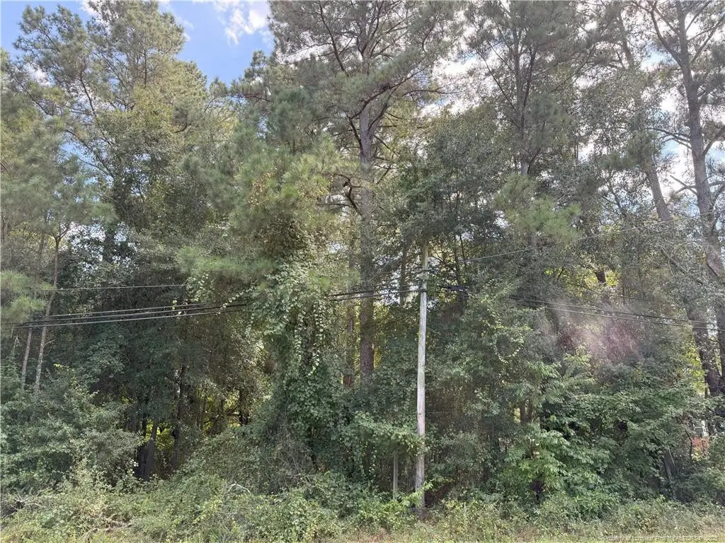 Lot 3 E Williams Street, Autryville, NC 28318 - #1